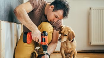 Looking for Home Improvement Tips?