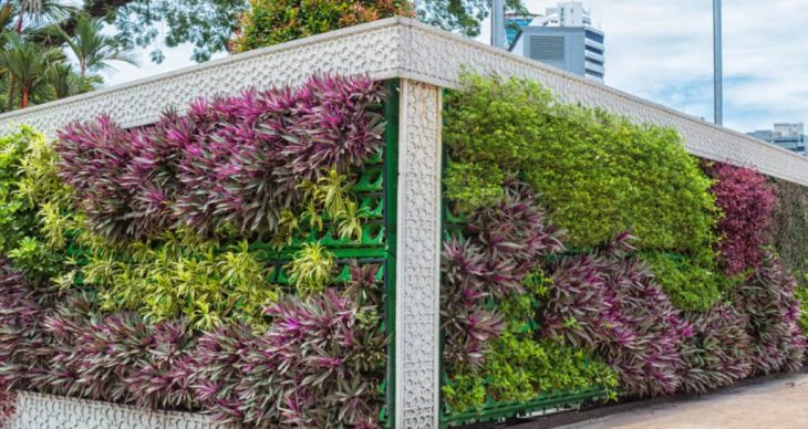 NEW IDEA ALERT: Vertical Gardens