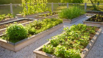 7 Awesome Gardening and Landscaping Ideas for Homes of All Sizes