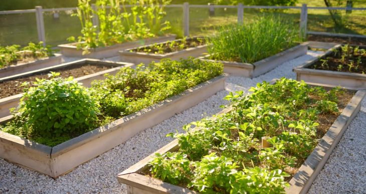 Elevate Your Yard with a Raised Garden Bed