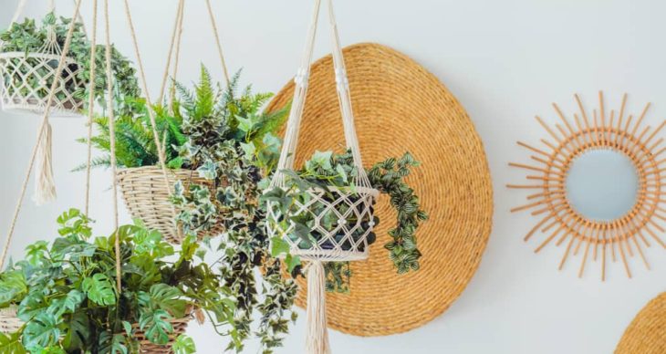 Take Your Space to New Heights With Hanging Planters