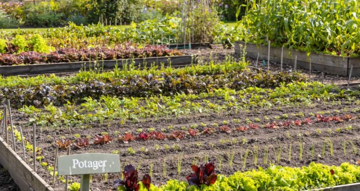 A Potager Garden is Functional and Beautiful