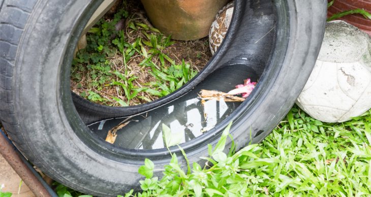 Find and Remove Standing Water