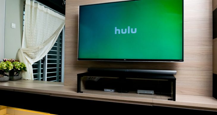 Hulu and Hulu Live TV (mention spotify student)